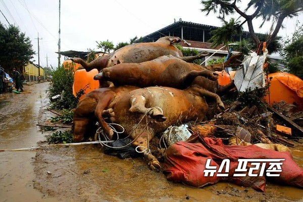 사진: 전남 구례 폭우로 인한 사고 모습 ⓒ강승호 기자