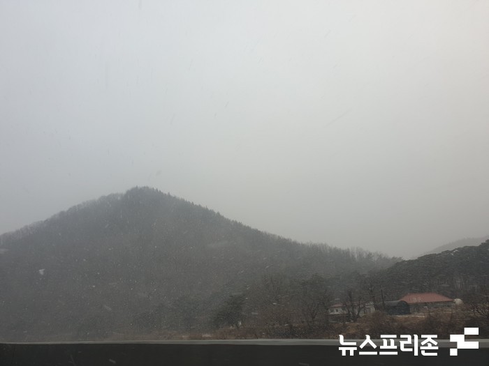 강추위와 함께 눈이 내리고있는 경북 예천모습