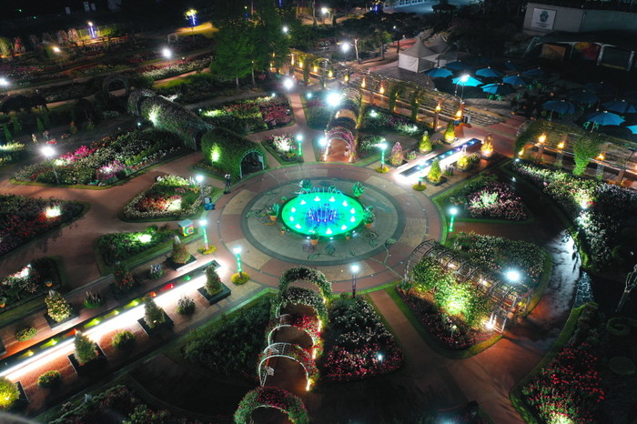 아름다운 야간 장미 정원(사진=곡성군)