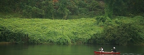 수상레저 인구가 급증하고 있다. 사진은 충남 금산군의 적벽강에서의 카누. 