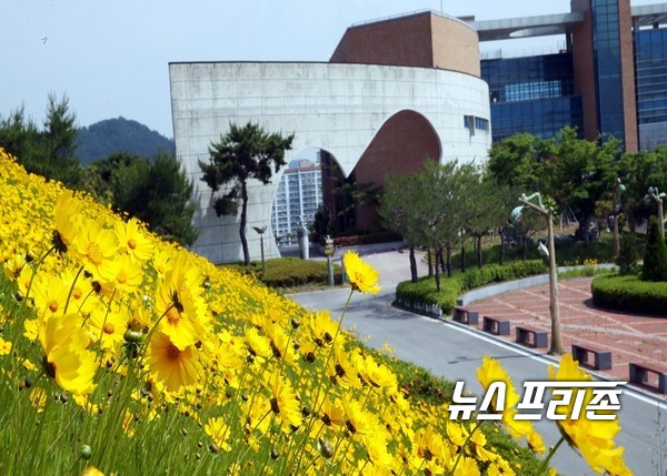 함평 군립도서관 앞에 활짝핀 노오란 금계국 꽃이 이른 여름을 손짓하고 있다./ⓒ함평군청 제공