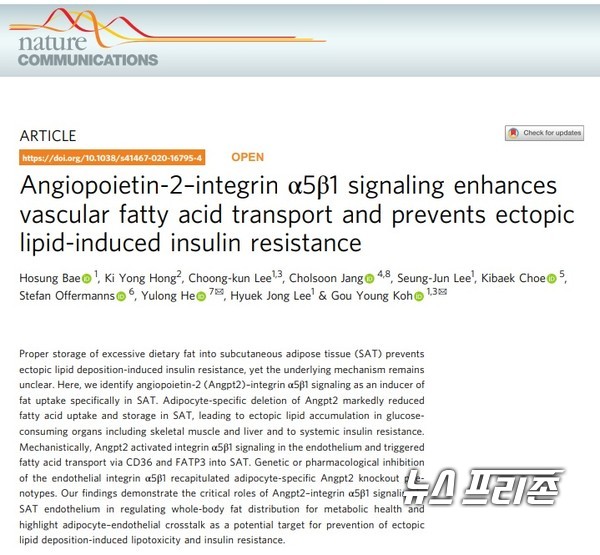 혈관 생성을 촉진하는 단백질‘안지오포이에틴-2(Angiopoietin-2)’가 건강한 지방 축적 작용의 핵심요소임을 규명한 기초과학연구원(IBS) 혈관연구단 연구팀 결과는 국제 학술지 네이처 커뮤니케이션즈(Nature Communications, IF 11.878)에 6월 12일 게재됐다./ⓒ네이처 커뮤니케이션즈