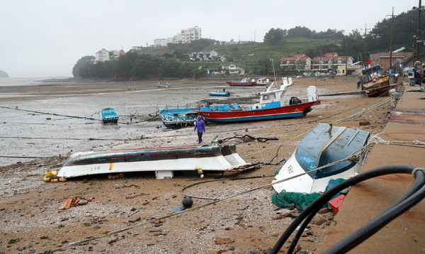 6일 충남 태안지역에 쏟아진 폭우와 강풍 등으로 각종 피해가 잇단 가운데  이날 오전 태안군 고남면 가경주항에 정박된 어선 20여척이 갑자기 불어닥친 강풍으로 전복됐다.