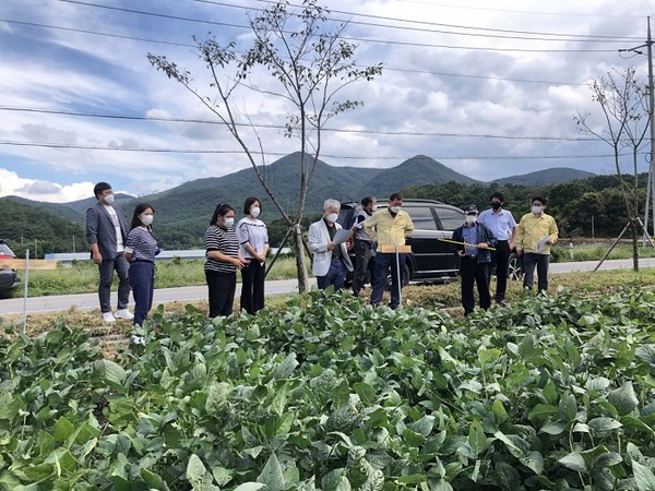 전북 순창군 농업기술센터는 14일 6종의 우량 콩 품종을 관내 농업인들에게 공개하고 현지 평가회를 가졌다./ⓒ순창군