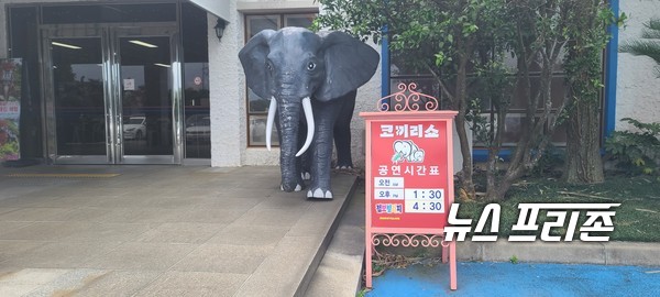 2020년 8월 중순경 제주도 서귀포시에 있는 '점보 빌리지', 입장 문 입구에 하루 두번 공연 안내문이 놓여있다. ⓒ 김은경 기자