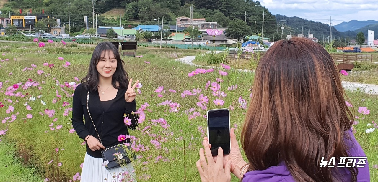 [대전=뉴스프리존] 이현식 기자=대전 천동에 사는 김채원(고2) 학생이 엄마와 함께 대전 대덕구 장동 코스모스 마을을 찾아, 코스모스 꽃밭을 배경으로 포즈를 하며 행복한 추억을 만들고 있다./ⓒ대전시