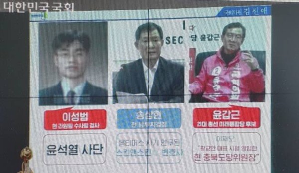김진애 열린민주당 의원이 19일 법사위 국감에서 공개한 라임자산운용 사건 관련 시각물.