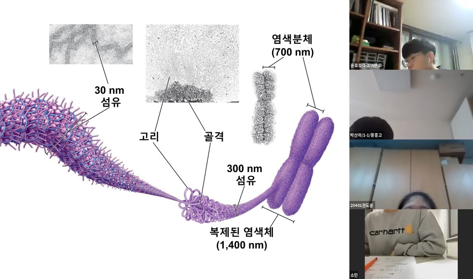 과학캠프강의 생물정보학 활용한 DNA분석 슬라이드 사진./ⓒ순천향대학교
