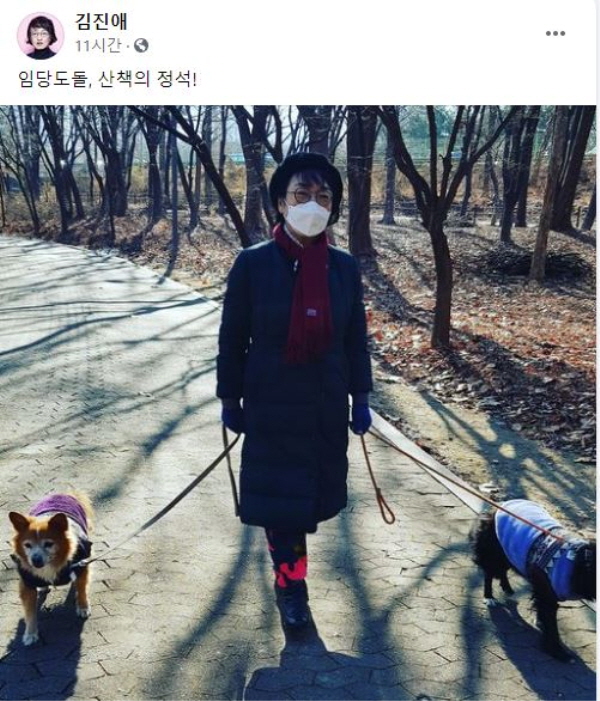 오랫동안 반려견을 키우고 있는 김진애 의원은 페이스북에서 반려견 둘과 함께 산책하는 사진을 보여줬다. 그러면서 반려견과 산책하는 노하우도 함께 소개했다. 두 반려견에 대해 소개하는 글도 올렸다. / ⓒ 페이스북