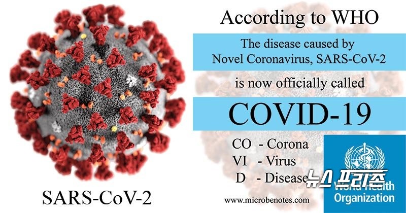 4일 오전, 충남지역에서 12명의 신규 신종 코로나바이러스 감염증(코로나19) 확진자가 발생했다./ⓒ뉴스프리존