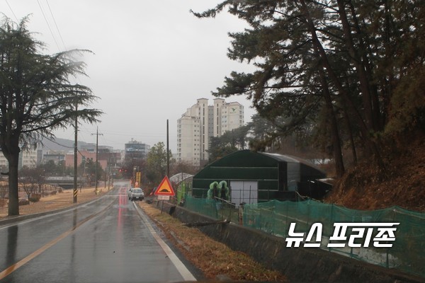 국유지를 무단  점거한 비닐하우스/강창원 기자
