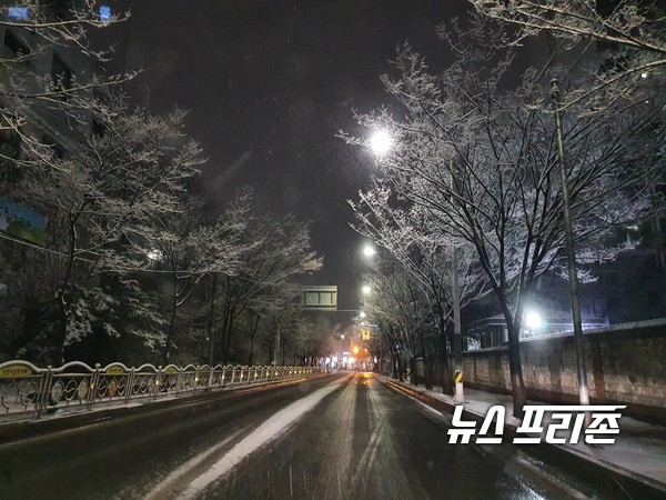 1일 밤 눈꽃 만발한 경기 의정부시 송산동 한 도로. 고상규 기자