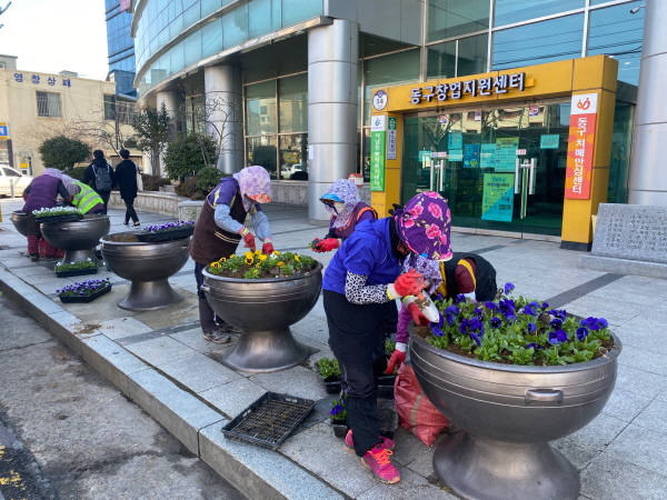 도로변에 설치된 항아리 화분에 봄꽃 식재/ⓒ광주 동구청