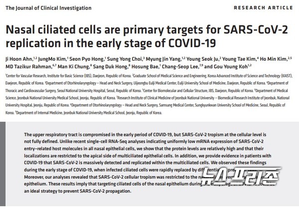 사스코로나바이러스-2(SARS-CoV-2)의 복제 순간을 최초로 포착해 초기 감염 및 증식의 주요 표적이 비강(코 안) 섬모상피세포임을 규명한 기초과학연구원(IBS)은 혈관 연구단 고규영 단장팀 등 코로나19 대응 공동연구팀 연구는 세계적 의학연구학술지인 임상연구저널(Journal of Clinical Investigation, IF 14.808)에 7월 2일 게재됐다./ⓒ임상연구저널·IBS