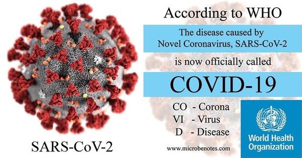 코로나바이러스-19 감염증 병원체./ⓒ뉴스프리존