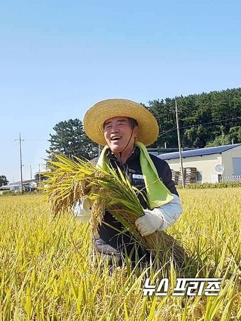 [보령=뉴스프리존]23일 밀짚모자를 쓴 김동일 보령시장이 수확을 앞두고 노랗게 익는 벼 들녘에서 한줌의 벼를 들고 환한 웃음을 띠고 있다.이진영 기자
