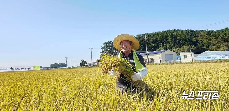 [보령=뉴스프리존]23일 밀짚모자를 쓴 김동일 보령시장이 수확을 앞두고 노랗게 익는 벼 들녘에서 한줌의 벼를 들고 환한 웃음을 띠고 있다.이진영 기자