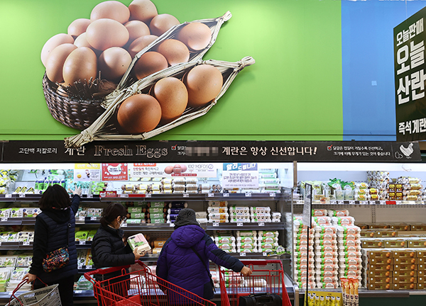서울 시내 대형마트 달걀 판매대.