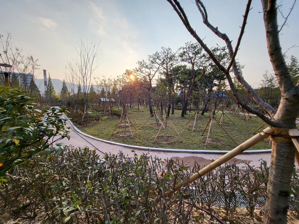 창원시가 가음동 남산공원에 조성한 미세먼지 차단숲 창원시