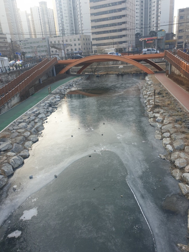 서울 동대문구에 얼음으로 덮어진 개울가 모습