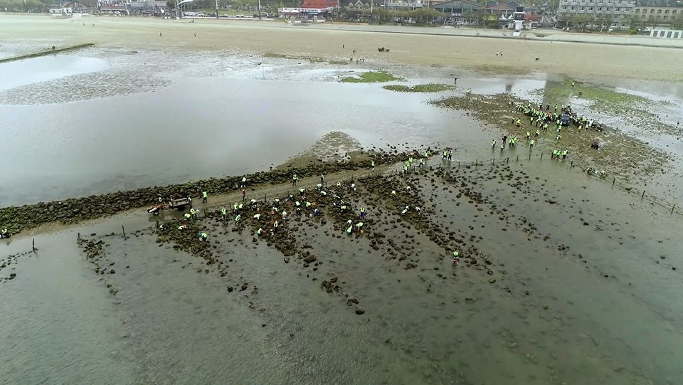 보령 무창포해변 갯벌 체험 모습.(사진=충남도청)