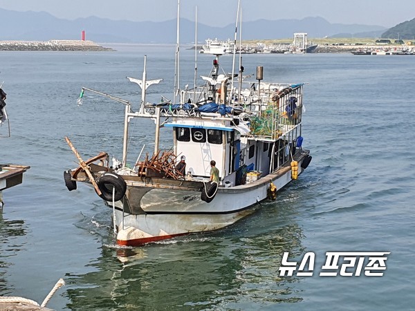 [보령=뉴스프리존]6일 본격적인 꽃게잡이 철을 맞아 꽃게잡이에 나갔던 어선이 대천항으로 입항 하고 있다.Ⓒ이진영 기자