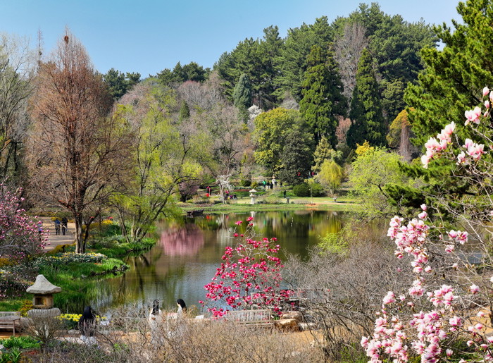태안 천리포수목원의 봄 풍경.(사진=태안군청)