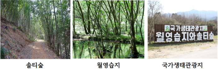 자료 = 정읍 송죽(솔티)마을 & 월영습지