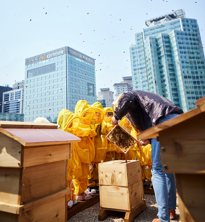 KB금융그룹 직원 가족들이 KB국민은행 본관 옥상에 설치된 K-Bee 도시 양봉장에서 벌 키우기 체험 활동을 하고 있다. (사진=KB금융그룹)