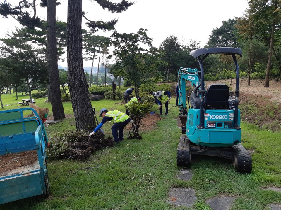 예산군 추사고택 나무 보식작업 모습.(사진=예산군청)