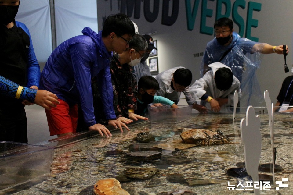 해양머드 주제관에서 아이들이 해양생물들을 보여 신기해하고 있다.(사진=박성민기자)