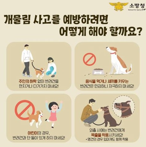 충남 보령소방서, 개 물림 사고 주의 하세요