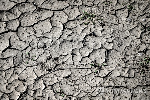 가뭄에 바닥드러낸 독일 라인강
