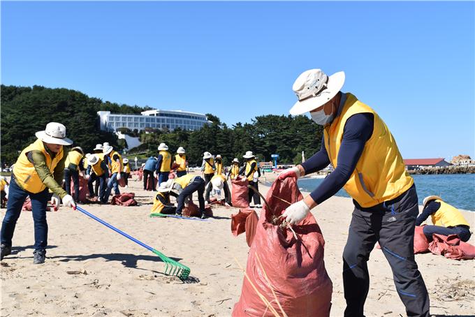 (사진 오른쪽 첫 번째) Sh수협은행 김진균 은행장이 해양쓰레기를 수거하고 있다. (사진=Sh수협은행)