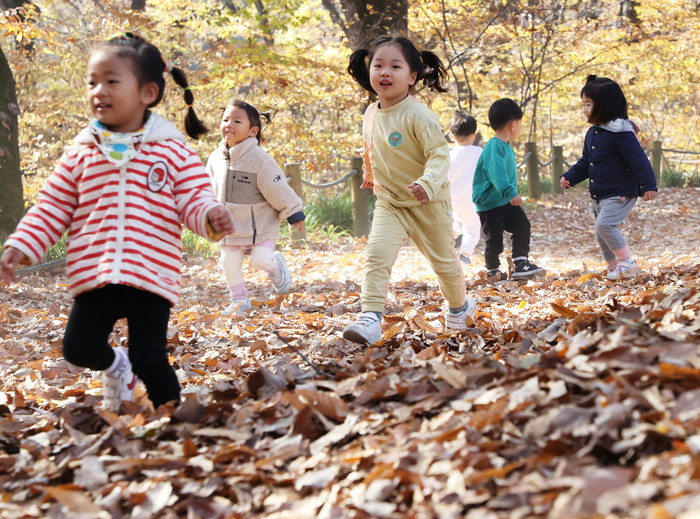 함양 성민어린이집 아이들이 낙엽을 밟으며 늦가을 정취를 만끽하고 있다.