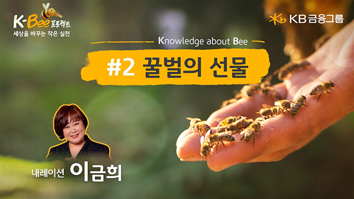 '꿀벌의 선물' 영상 화면 캡처. (자료=KB금융그룹)