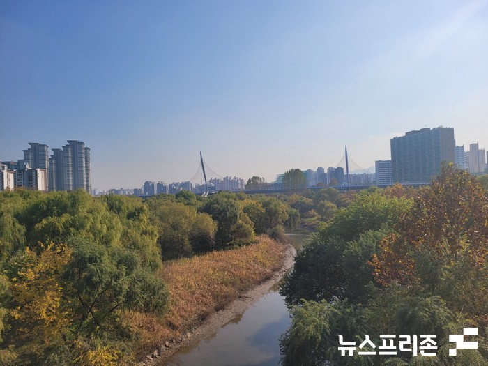 서울 영등포구 모습