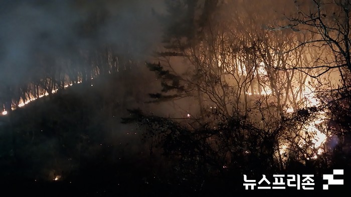 8일 오후 6시 24분께 양산시 원동면 용당리 산 12번지 일원에서 산불이 발생해 임야를 태우고 있다. ⓒ산림청