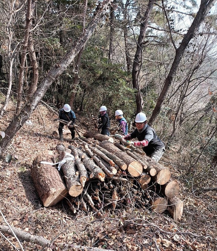 인부들이 산림 조성을 위해 소나무재선충병 방제 작업을 하고 있다. (사진=여수시)