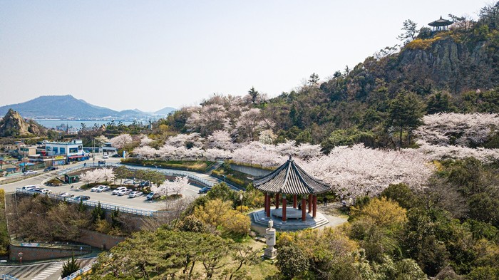 목포시 유달산 봄꽃 축제.(사진=목포시)