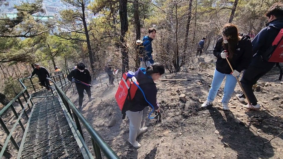지난 18일 군청 직원들이 금오산 산불을 진압하는 모습.(사진=예산군청)