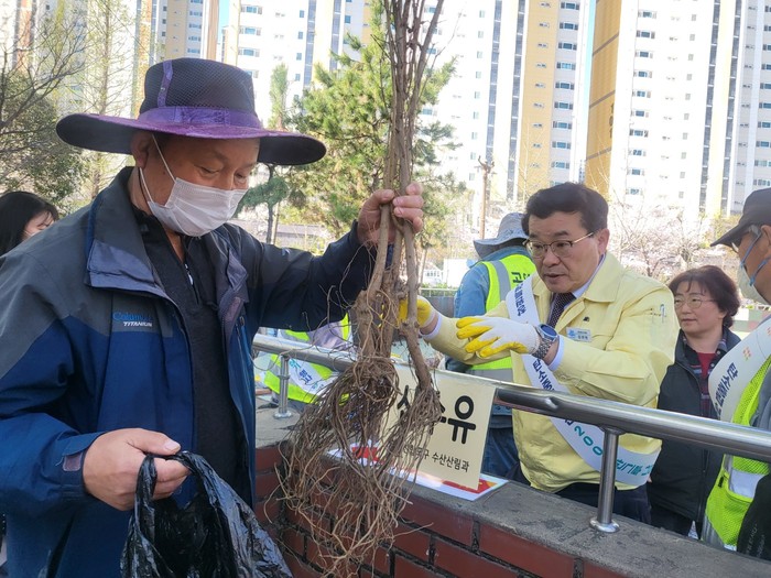 김선민 마산합포구청장이 시민들에게 나무를 나눠주고 있다.(사진=창원시)
