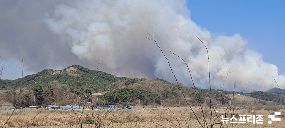 2일 오전 11시쯤 충남 홍성군 서부면에서 산불이 발생해 소방당국이 진화에 나섰다.(사진=독자제공)