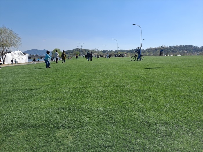 아스팔트 도로를 푸른 정원으로 만든 ‘그린아일랜드’ 잔디길에서 힐링을 하고 있는 관광객들. /조용호 기자