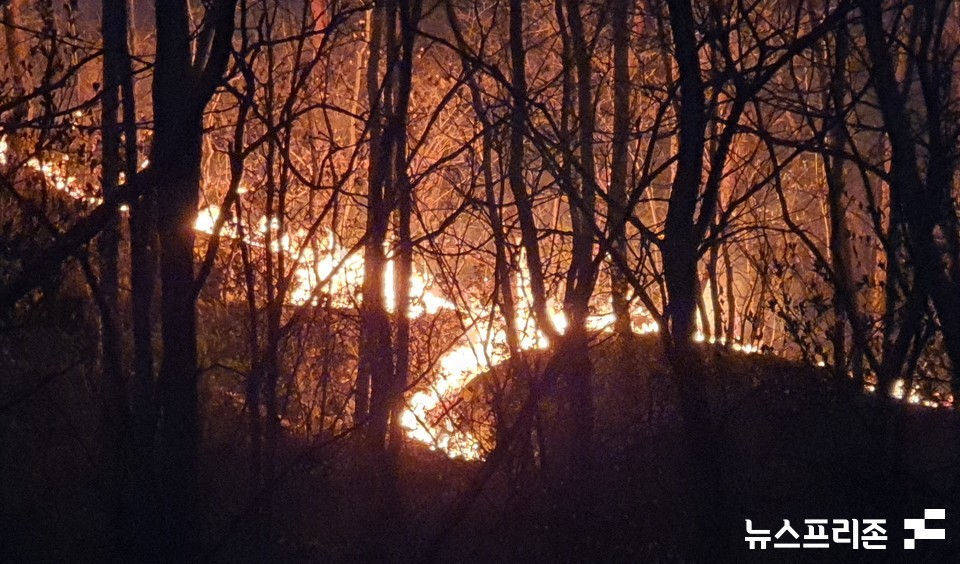 2일 정오 대전 서구 장안·기성동 한 야산에서 발생한 산불이 현재 오후 7시 30분쯤 인근 야산으로 불길이 번지고 있다.(사진=이현식 기자)
