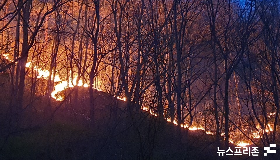 2일 정오 대전 서구 장안·기성동 한 야산에서 발생한 산불이 현재 오후 7시 30분쯤 인근 야산으로 불길이 번지고 있다.(사진=이현식 기자)