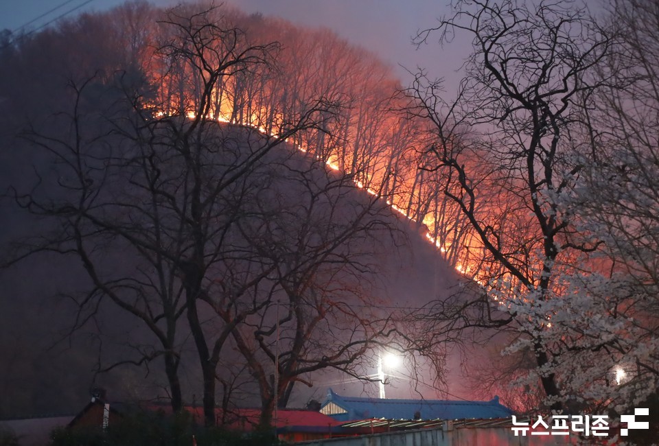 2일 오후 8시쯤 대전 서구 장안·기성동 한 야산에서 불길이 번지고 있어 소방당국이 진화에 어려움을 겪고 있다.(사진=이현식 기자)