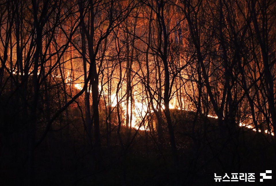 2일 오후 8시쯤 대전 서구 장안·기성동 한 야산에서 불길이 번지고 있어 소방당국이 진화에 어려움을 겪고 있다.(사진=이현식 기자)