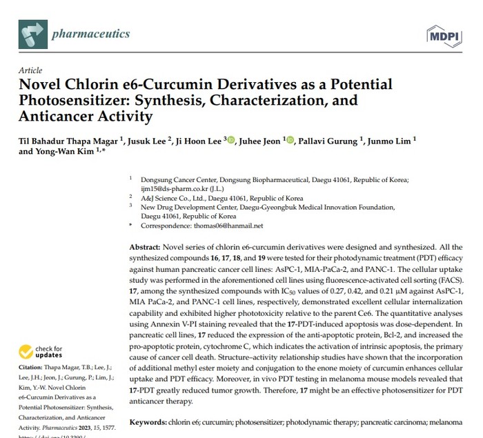 '잠재적 광과민제로써의 새로운 클로린e6-커큐민 유도체의 합성법, 물질 특성 및 항종양 효과에 대한 연구' 논문 일부. (자료=동성제약)