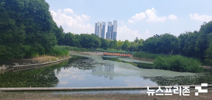 서울 성동구의 서울숲 모습 ⓒ 뉴스프리존